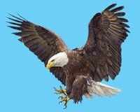 symbol_bird.png